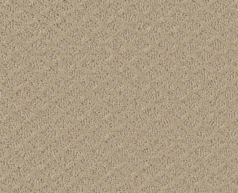 Placer Frost Nylon Carpet - Pattern