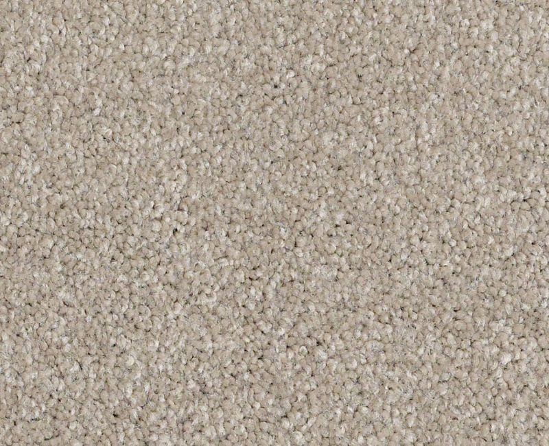 Anso Open I (S) Coastal Fog Nylon Carpet - Textured