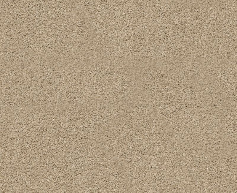 Orlando Pv Rice Paper Nylon Carpet - Textured