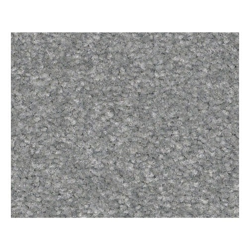 Qs240 Iii 15' Sea Mist Nylon Carpet - Textured