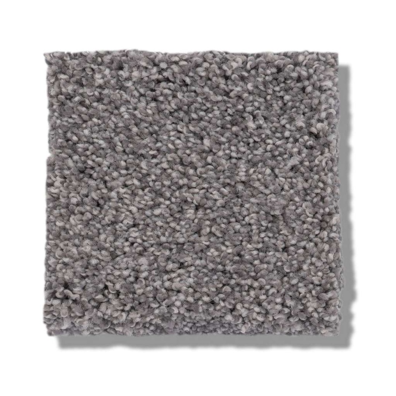 Caress By Shaw Cozy Harbor Ii Well Traveled Nylon Carpet - Textured