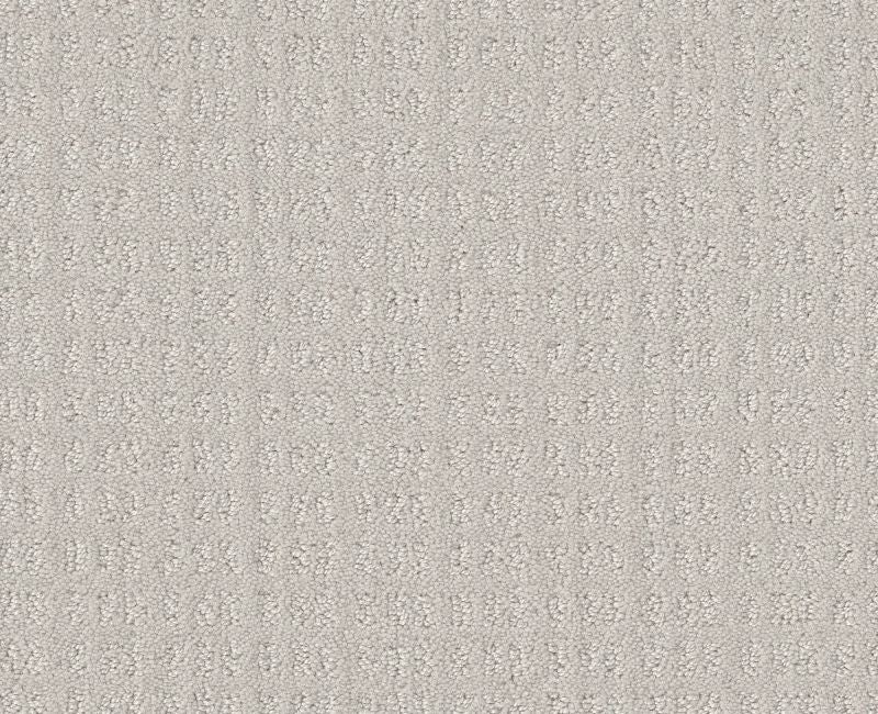 Now Or Never Winters Dawn Nylon Carpet - Loop