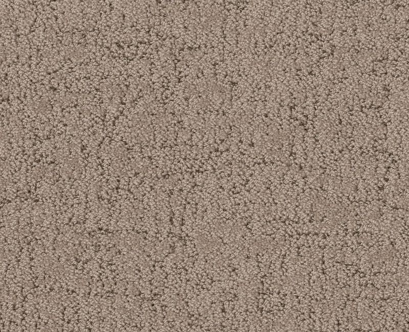 Running Wild Cameo Polyester Carpet - Textured