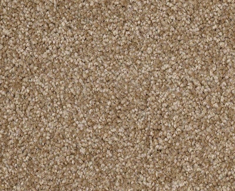 Anso Open II Bridgewater Tan Nylon Carpet