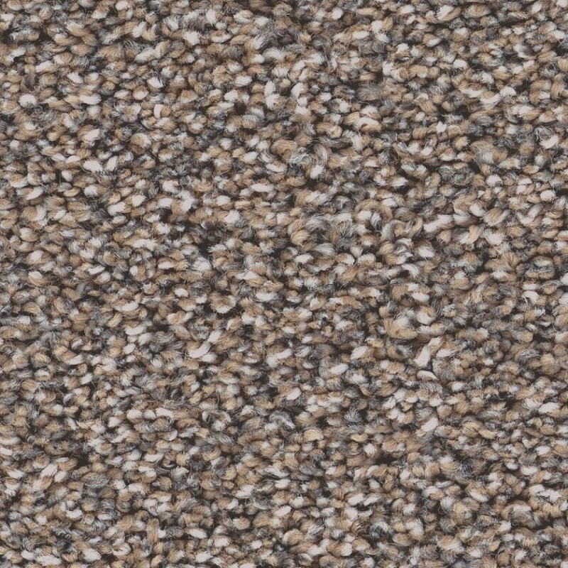 Pet Perfect Grand Influence II Mushroom Polyester Carpet