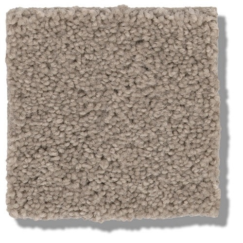 Secretly Dusty Road Nylon Carpet - Textured