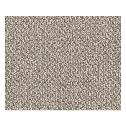 Truly Tranquil Loop Textured Canvas Nylon Carpet - Loop