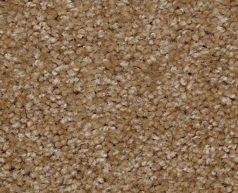 Instant Winner Chino Nylon Carpet - Textured