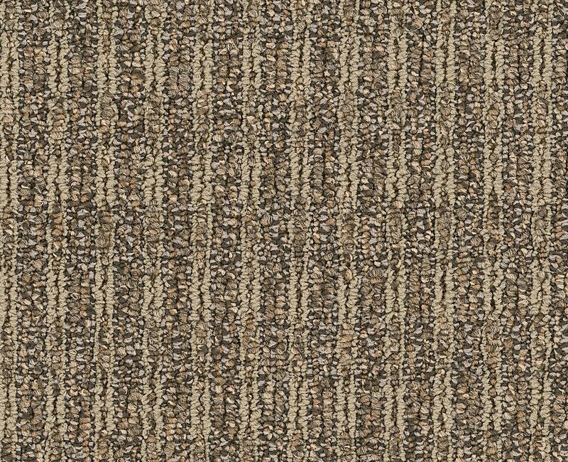 Clearance Sale! Fair Shake Brown Nylon Carpet - Loop