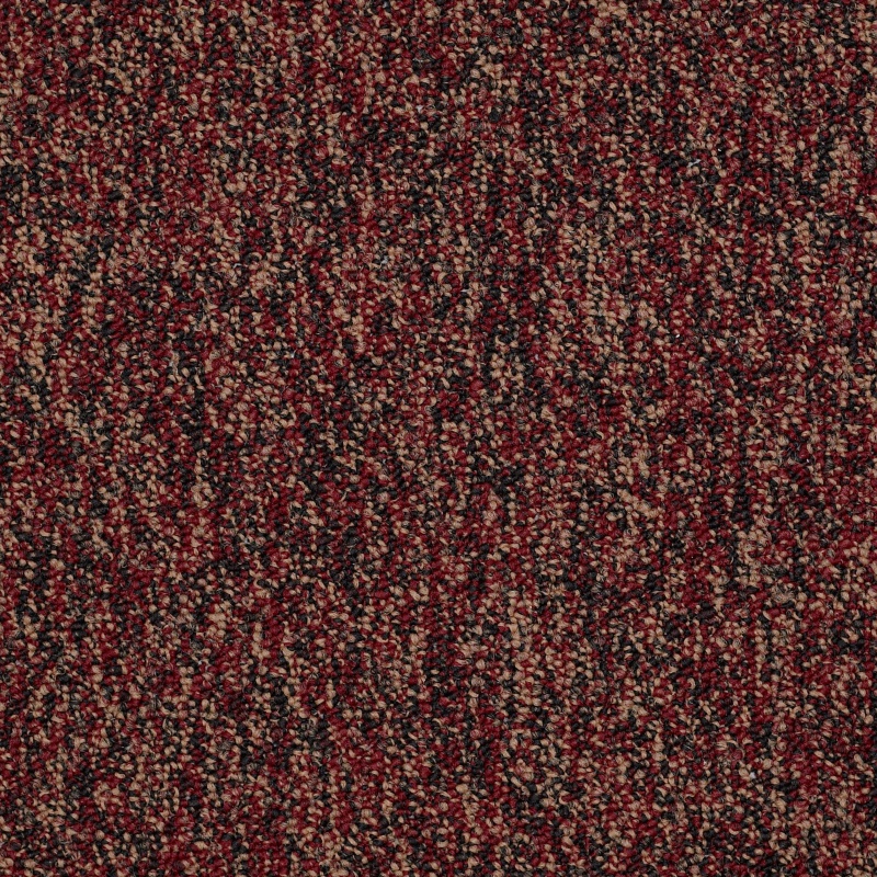 No Limits 22 Abundance Nylon Carpet - Textured