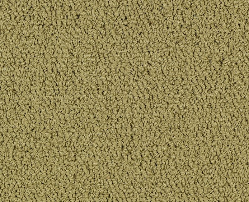 Color Accents Herbal Nylon Carpet Tile
