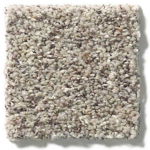 Secretly Coastal Fog Nylon Carpet - Textured