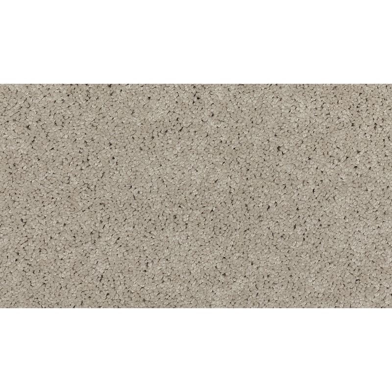Soft Edition Ii Picnic Polyester Carpet - Textured