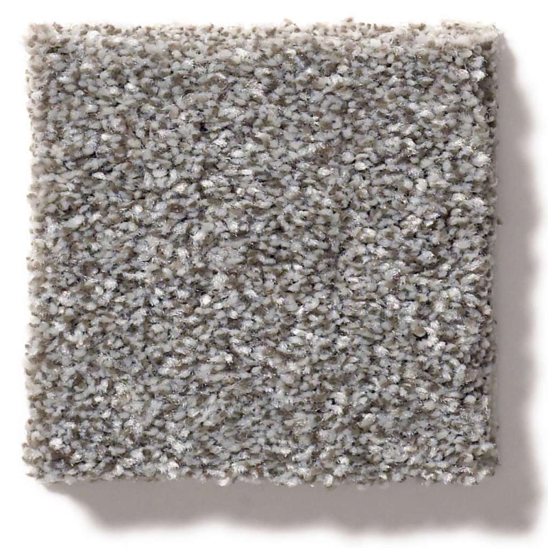 Simply The Best Make It Mine II Cedar Ridge Polyester Carpet