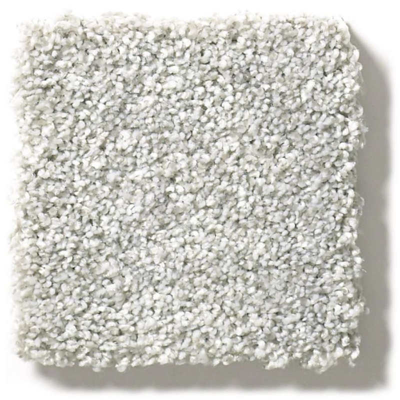 Pet Perfect Plus Just A Hint I Mist Polyester Carpet - Textured