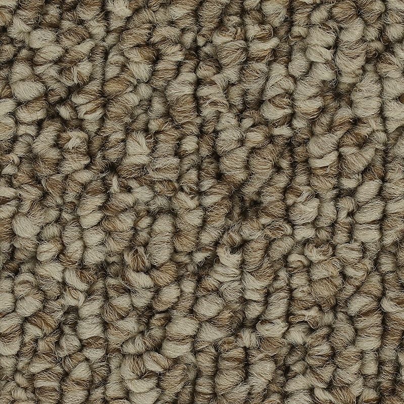 Cozy Classic Ancient Treasure Polyester Carpet - Pattern