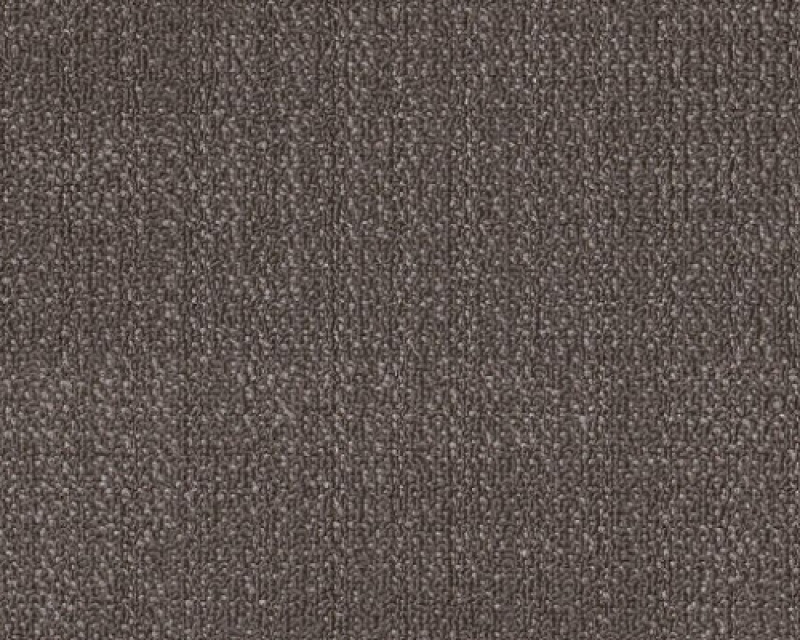 Reshaped Reemerge Mature Nylon Carpet Tile - Pattern - 24" X 24"