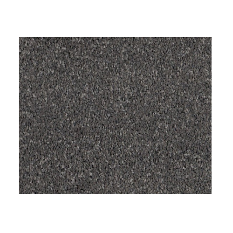 Castle Pv Ii Armory Nylon Carpet - Textured