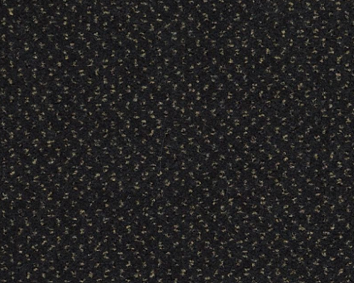 Future Generations Techno Nylon Carpet - Textured