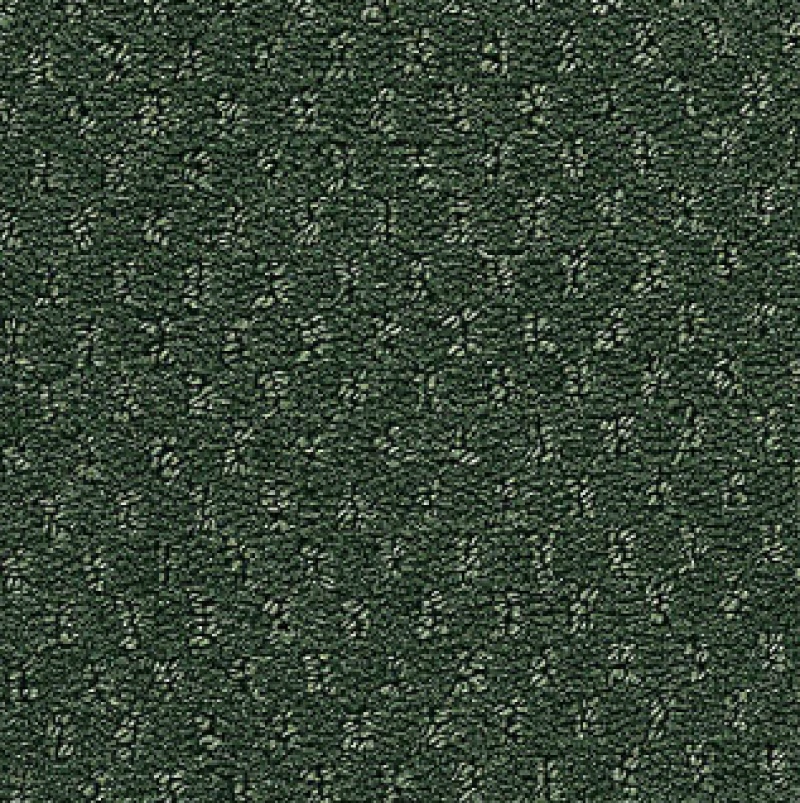 Influencer Classic Update Weathered Moss Nylon Carpet - Loop