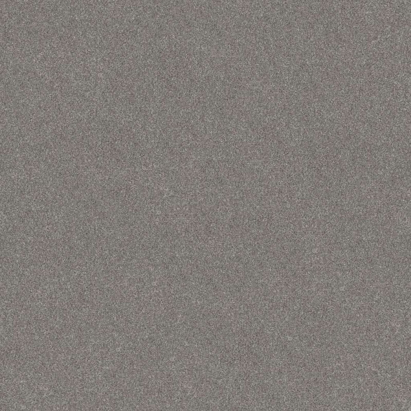 Simply The Best Without Limits Ii Stainless Polyester Carpet - Textured