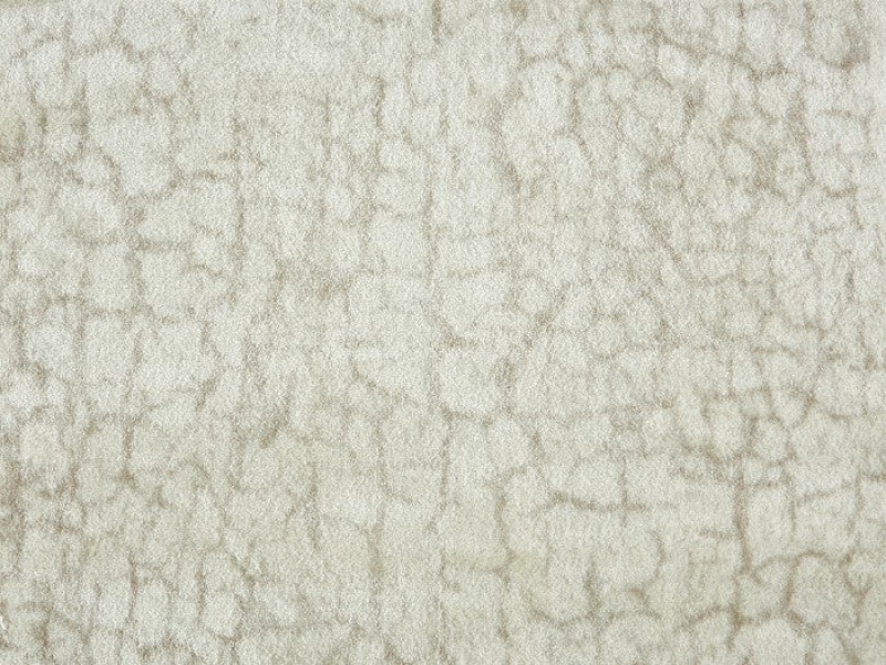 Clearance Sale! Atelier Marquee Starry Flicker Antique Nylon Carpet - Pattern - 13'2" X 25'7" Dye Lot: 104898878