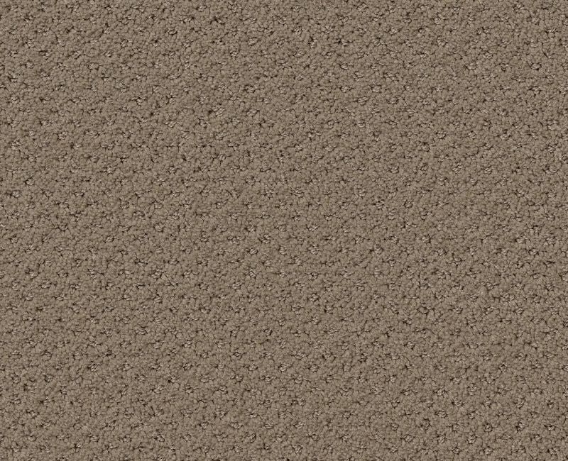 Meaningful Design Prairie Nylon Carpet - Loop