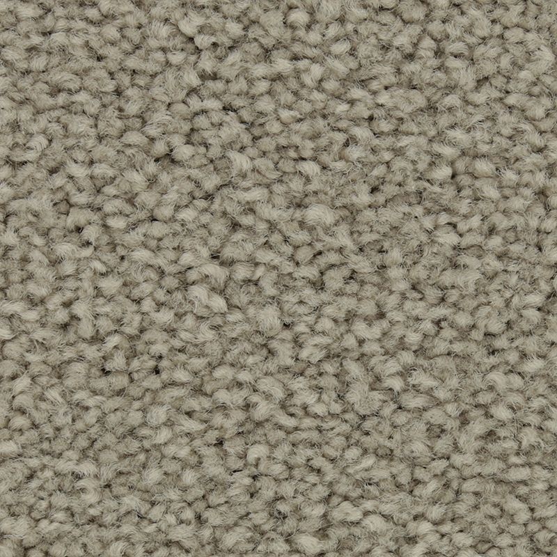 Coastal Fashion I Cumulus Nylon Carpet - Textured