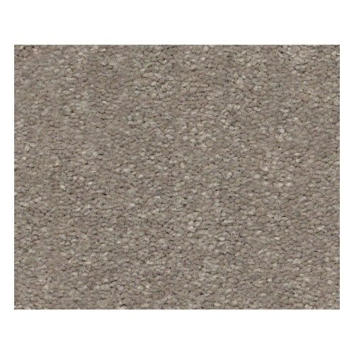 Santa Monica Smooth Taupe Polyester Carpet - Textured