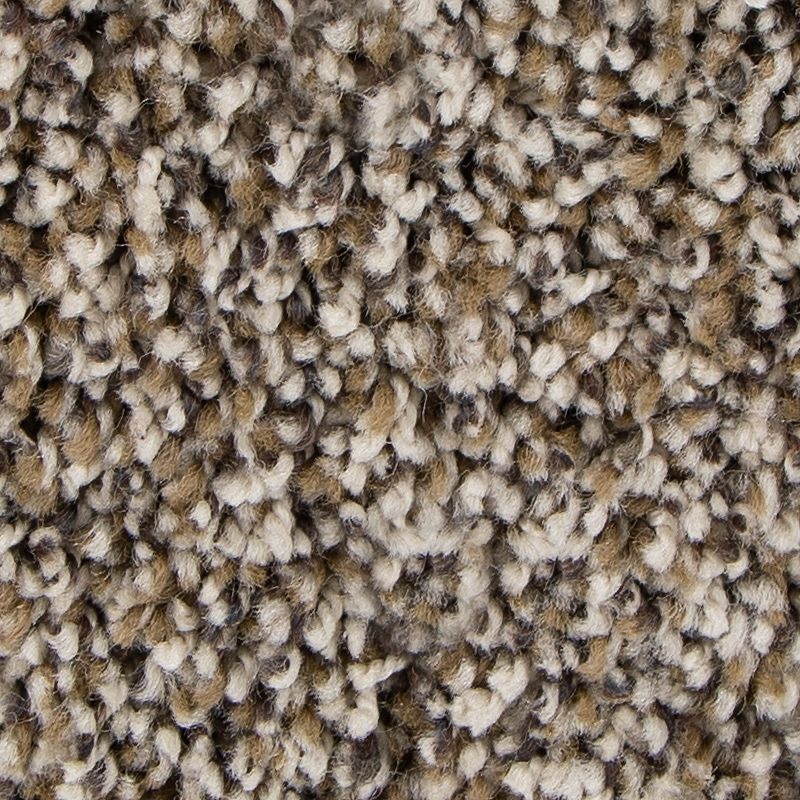 Soft Intrigue Ii New Light Polyester Carpet - Textured