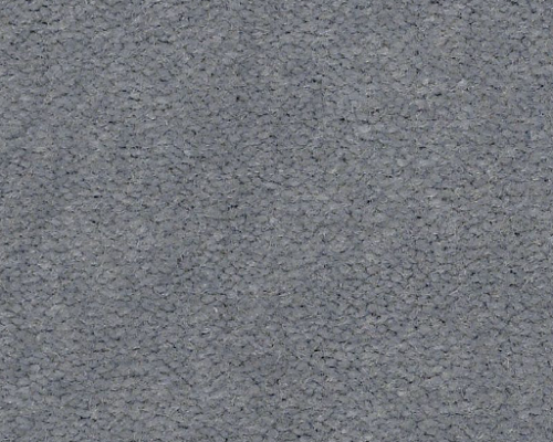 Emphatic Ii 30 Platinum Nylon Carpet - Textured
