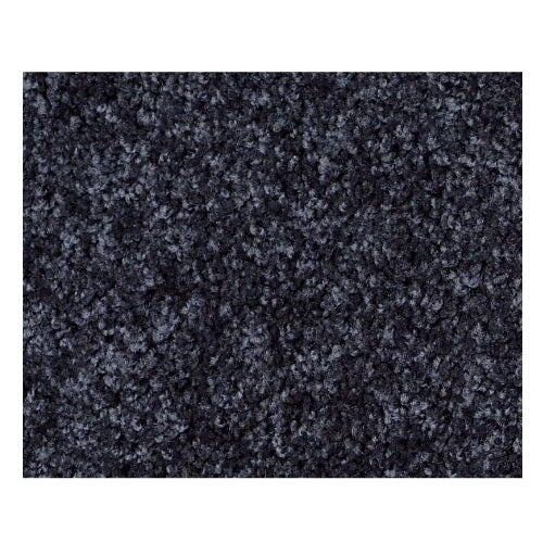 Silver Strand Summer Night Nylon Carpet - Textured