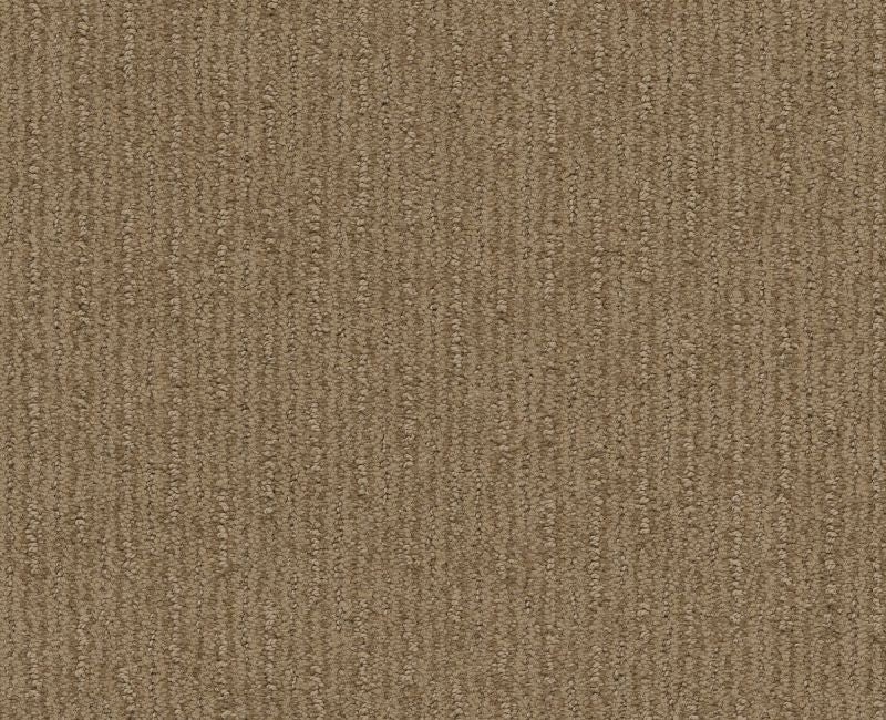 Well Informed Gold Rush Nylon Carpet - Textured