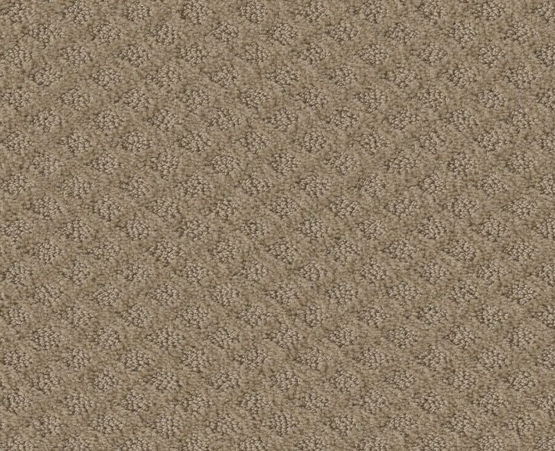 Placer Mushroom Nylon Carpet - Pattern