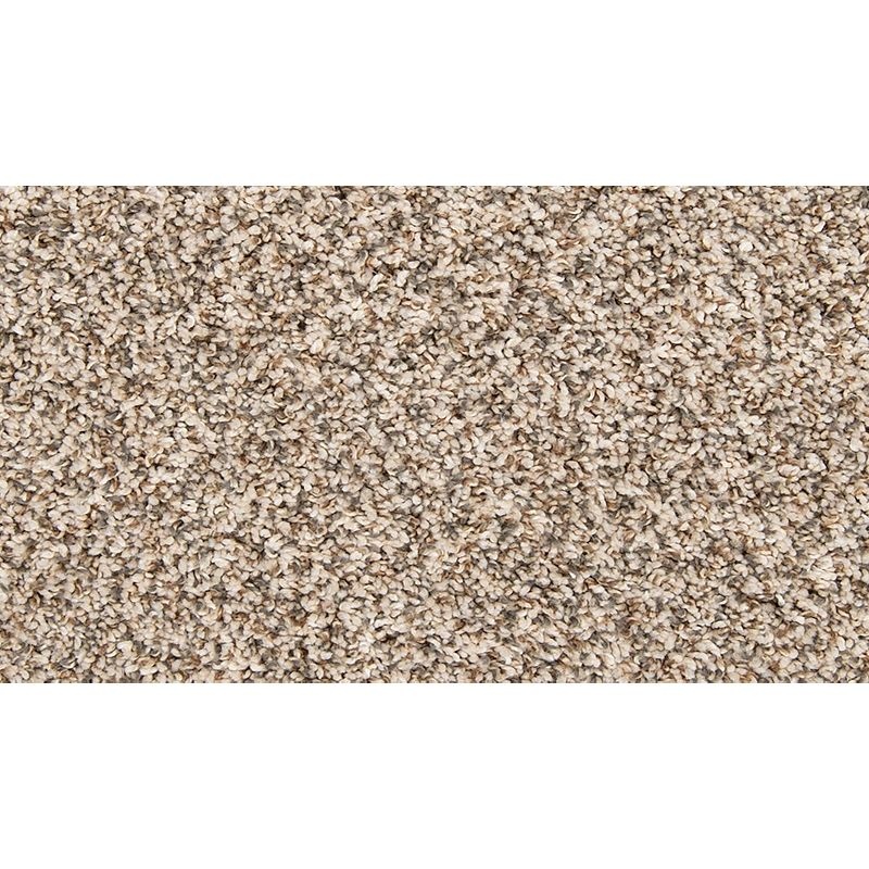 Color Classics Ii Melody Polyester Carpet - Textured