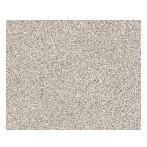 Seacliff Gallery Opening Nylon Carpet - Textured