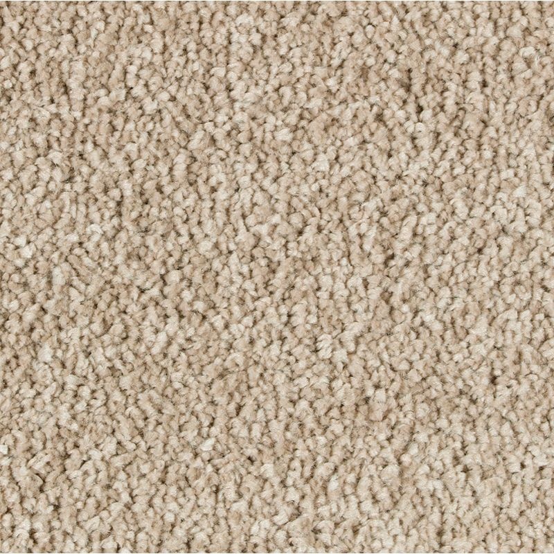 Exquisite Attraction Victorian Beige Triexta Carpet - Textured