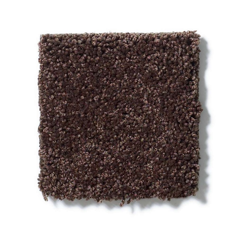 Enduring Comfort Ii Apple Butter Nylon Carpet - Textured