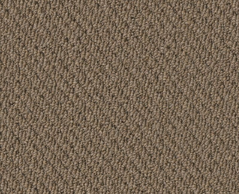 Textured Nylon Carpet