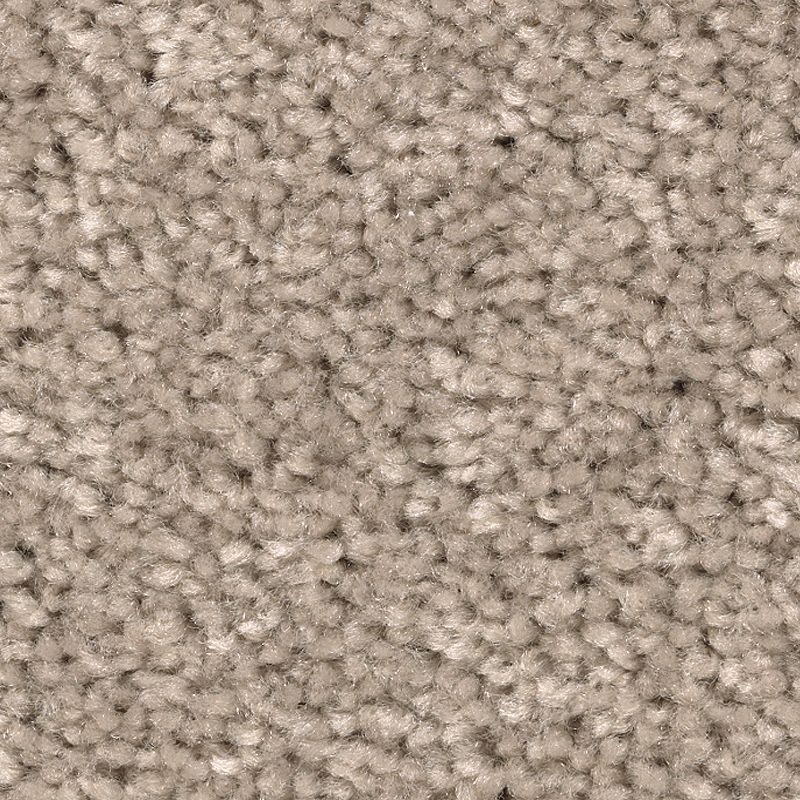 Treasure Valley Bora Bora Polyester Carpet - Textured
