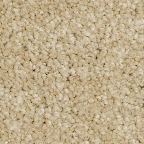 Murphy Honeycomb Nylon Carpet - Textured