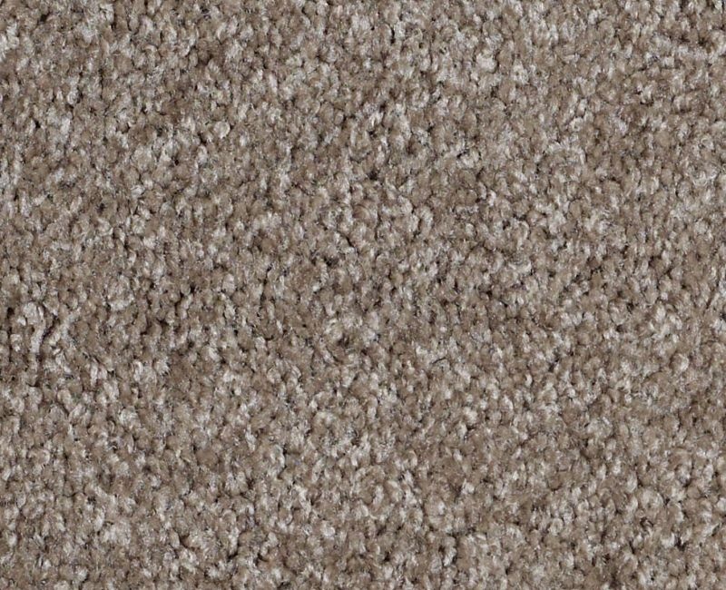 Malibu Beach Driftwood Nylon Carpet - Textured