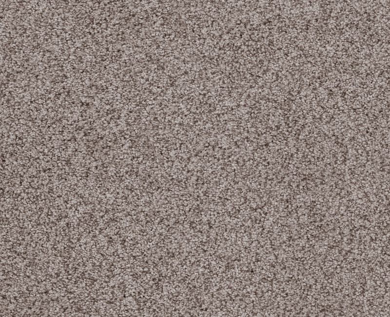 Sumptuous I Heritage Taupe Nylon Carpet - Textured