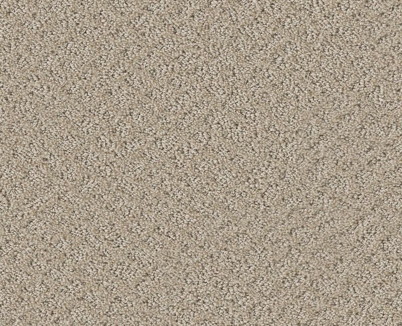 Mod Beauty Butter Cream Nylon Carpet - Loop