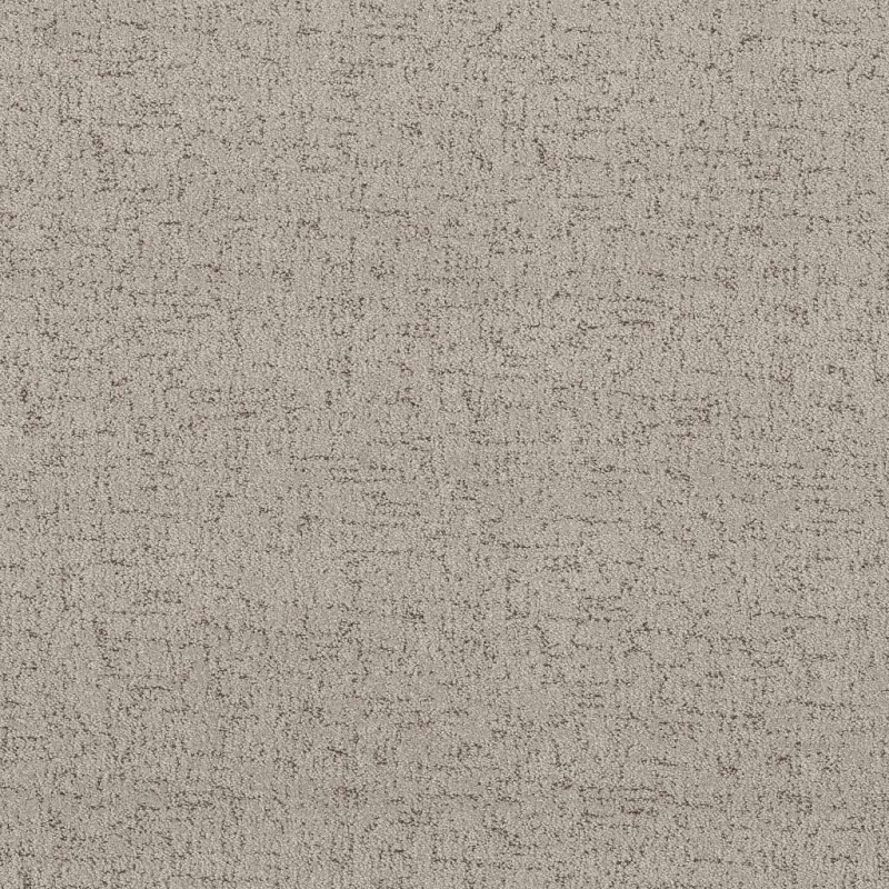 Pet Perfect Run Free River Birch Polyester Carpet