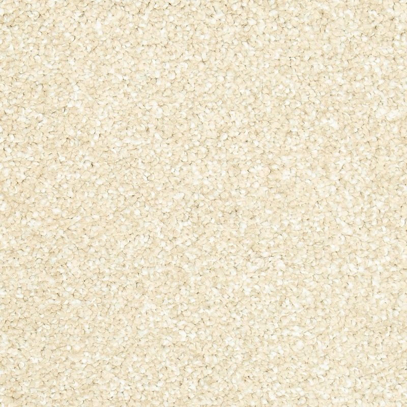 Natural Refinement I Sand Dollar Triexta Carpet - Textured
