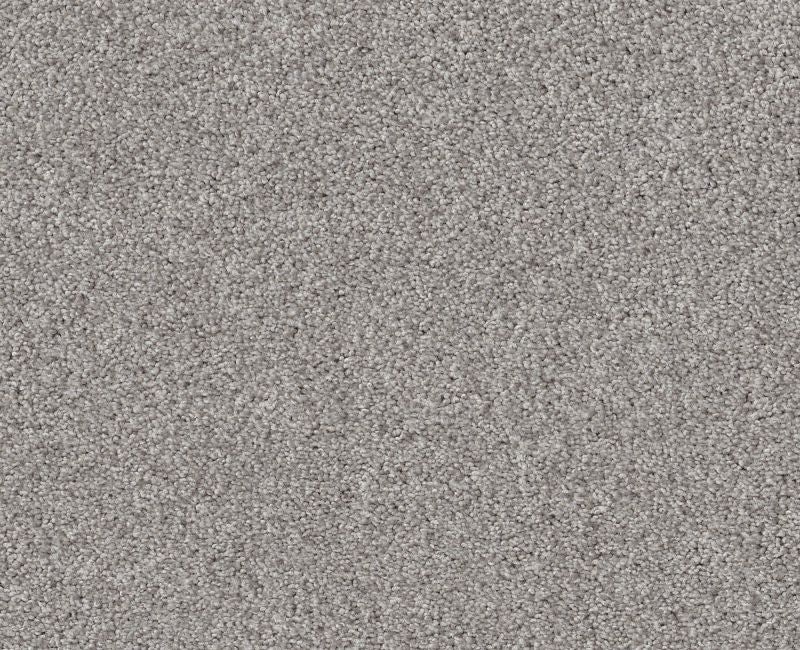 Simple Life Spotlight Nylon Carpet - Textured