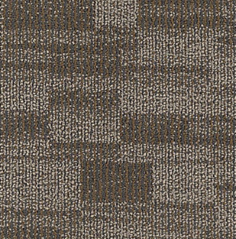 Inspiration Distinctive Appeal QS Classic Evolution Nylon Carpet - Loop