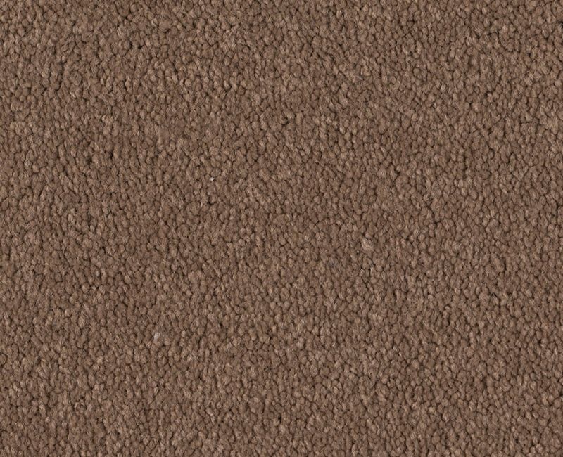 Magic Happens Pv I Wheat Grass Nylon Carpet - Textured