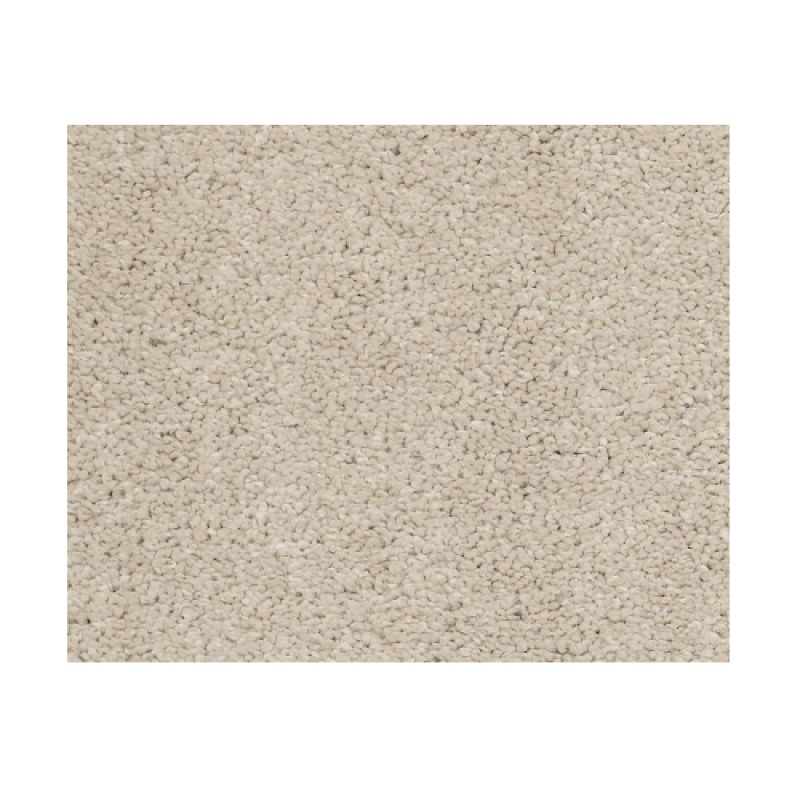 Castle Pv Ii Suede Nylon Carpet - Textured